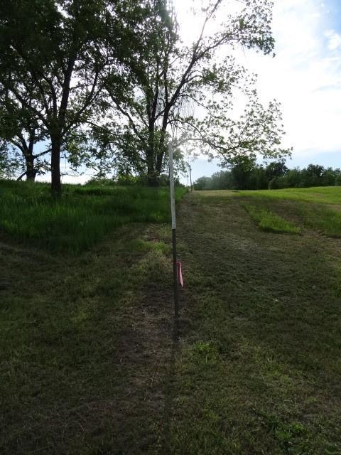 6780 SW County Road 2007th Rd, Rich Hill, MO 64779 - view of road