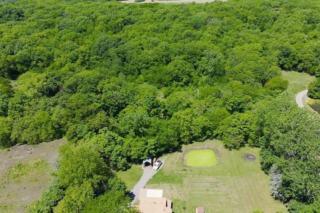 17347 242nd St, Tonganoxie, KS 66086 - photo 33