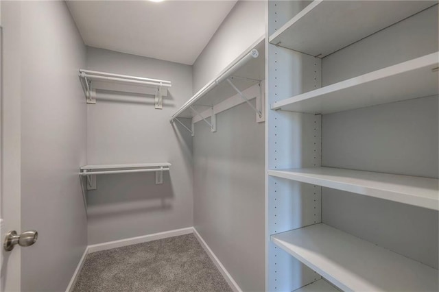 1086 SW 75 Th Rd, Holden, MO 64040 - spacious closet featuring carpet