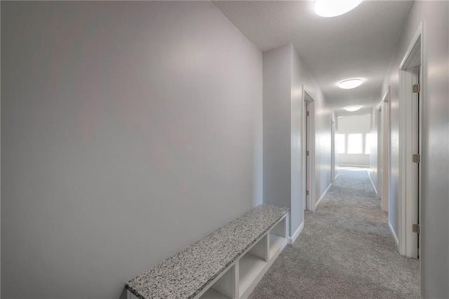 1086 SW 75 Th Rd, Holden, MO 64040 - hall with light carpet and a textured ceiling