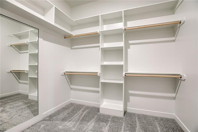 walk in closet featuring carpet flooring