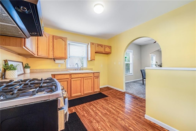 1503 S Spring St, Independence, MO 64055 - kitchen featuring extractor fan, a sink, stainless steel gas stove, and healthy amount of natural light