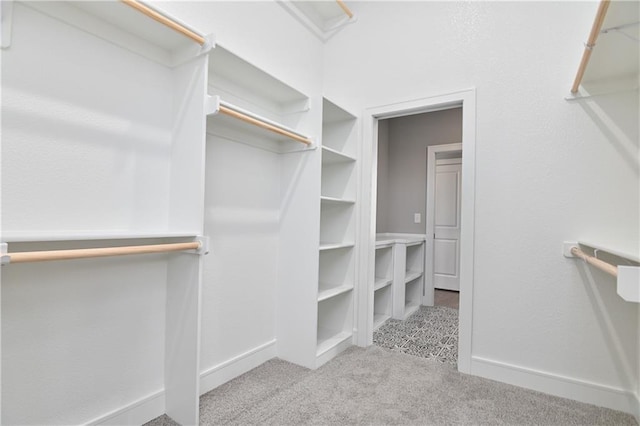 24105 W 58th Pl, Shawnee, KS 66226 - walk in closet with carpet floors