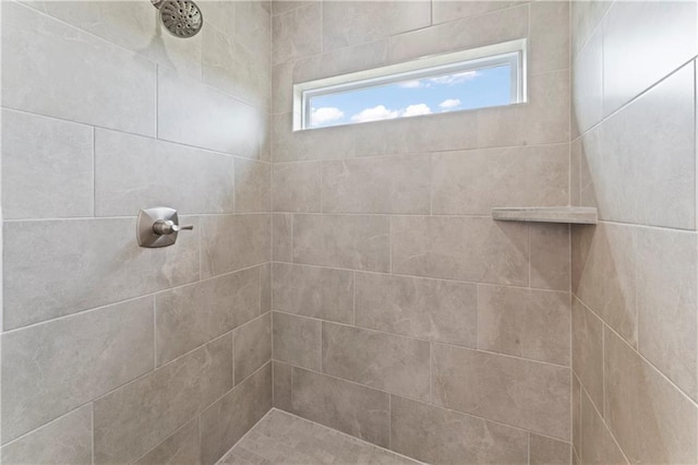 29702 W 195th St, Gardner, KS 66030 - bathroom featuring a tile shower and plenty of natural light