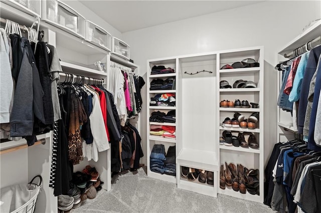 29702 W 195th St, Gardner, KS 66030 - walk in closet featuring carpet flooring