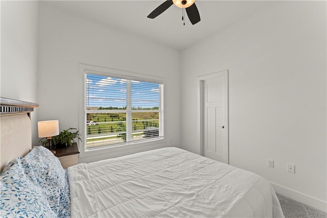 29702 W 195th St, Gardner, KS 66030 - bedroom with carpet flooring, a ceiling fan, and baseboards