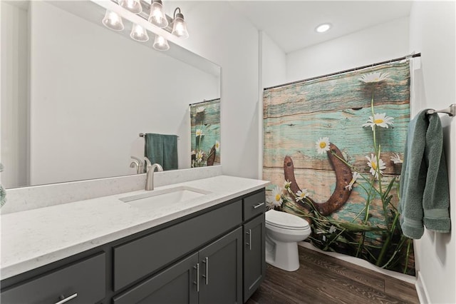 29702 W 195th St, Gardner, KS 66030 - bathroom with vanity, toilet, wood finished floors, and curtained shower