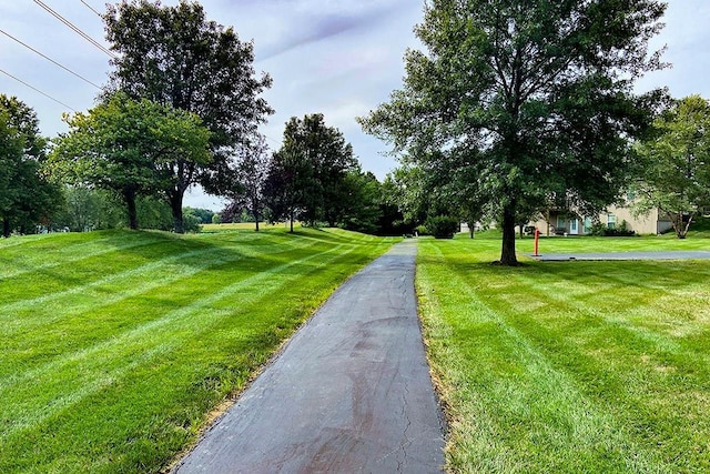 303 Crestview Ct, Raymore, MO 64083