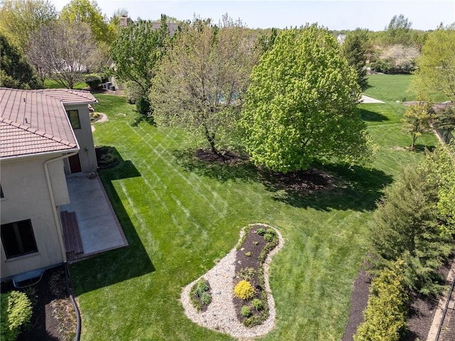 view of green lawn