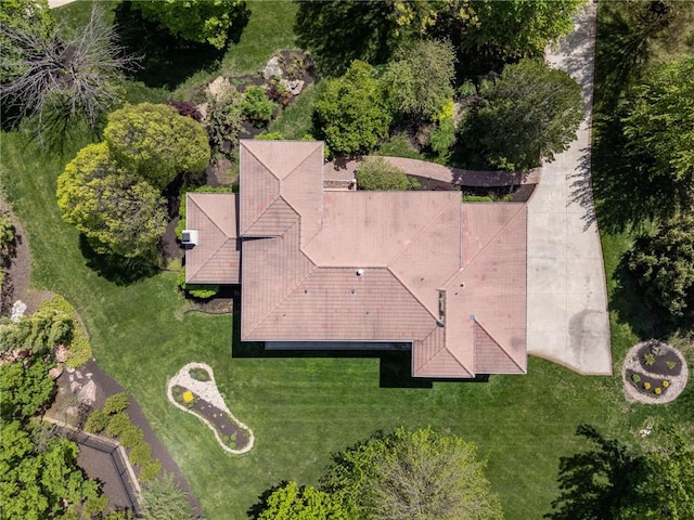 bird's eye view
