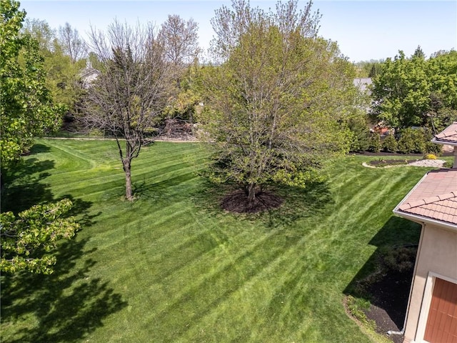 view of green lawn
