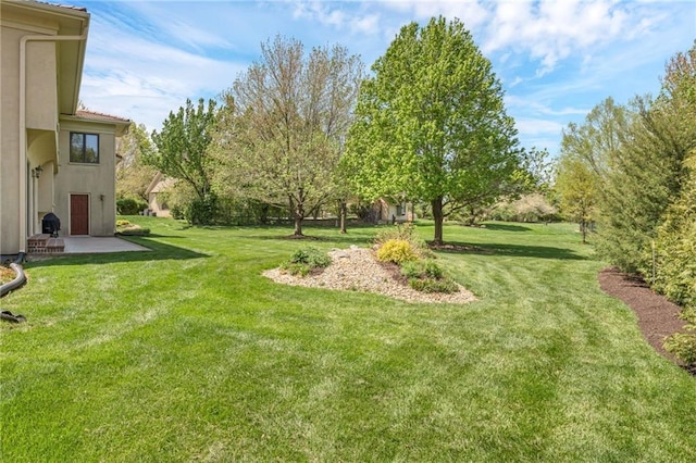 view of green lawn with a patio area