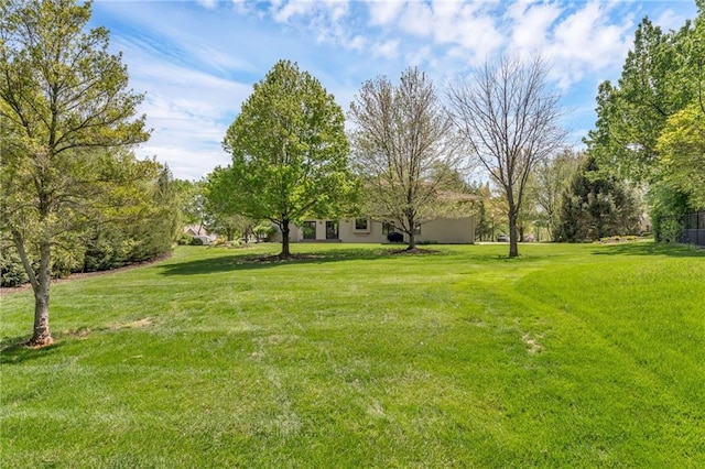 view of grassy yard
