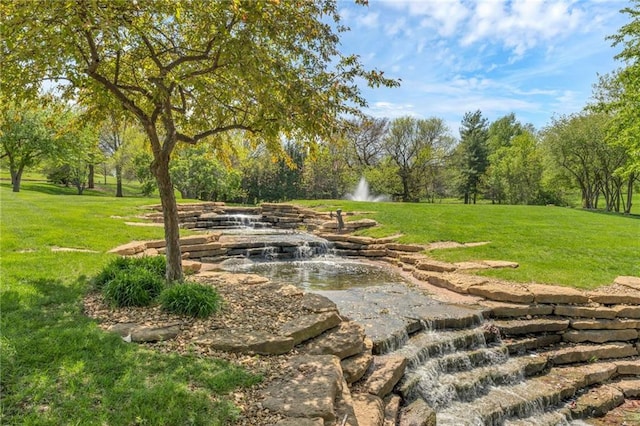 view of green lawn with a garden pond