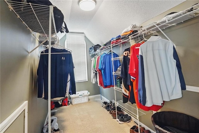 12287 S Mullen Rd, Olathe, KS 66062 - walk in closet with vaulted ceiling and carpet floors