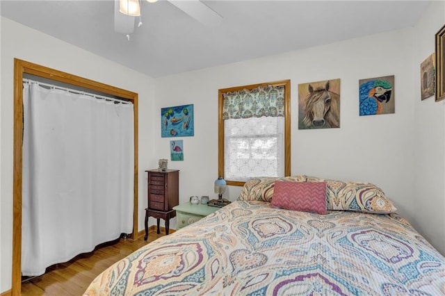 203 Pine St, Wellsville, KS 66092 - bedroom featuring wood finished floors, a closet, and a ceiling fan