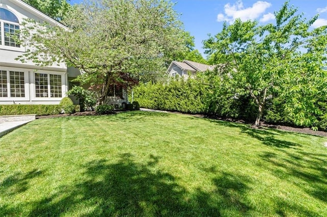 view of green lawn