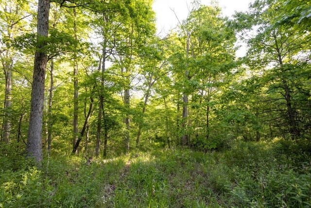 18933 S 2700th Rd, El Dorado Springs, MO 64744 - photo 15