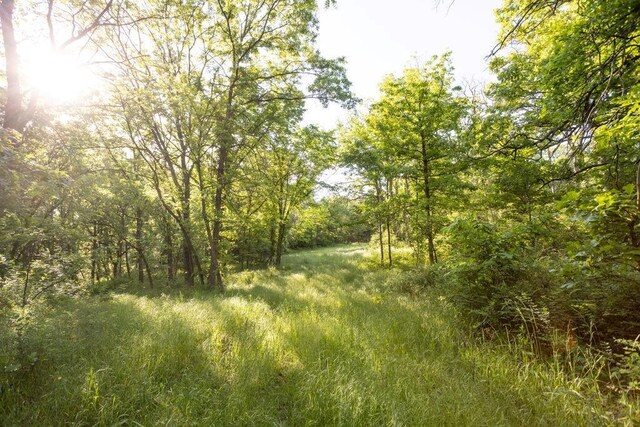 18933 S 2700th Rd, El Dorado Springs, MO 64744 - photo 20