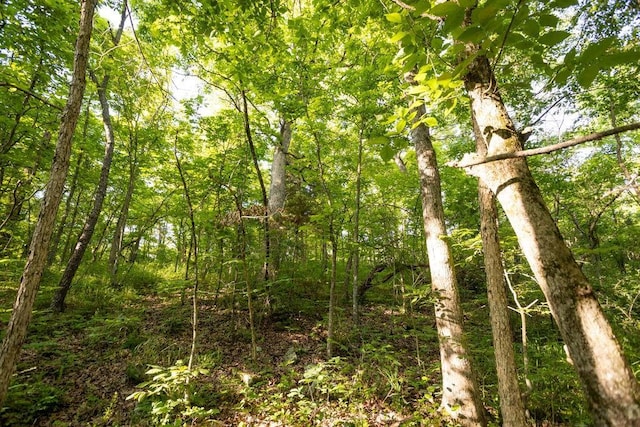 18933 S 2700th Rd, El Dorado Springs, MO 64744 - photo 24