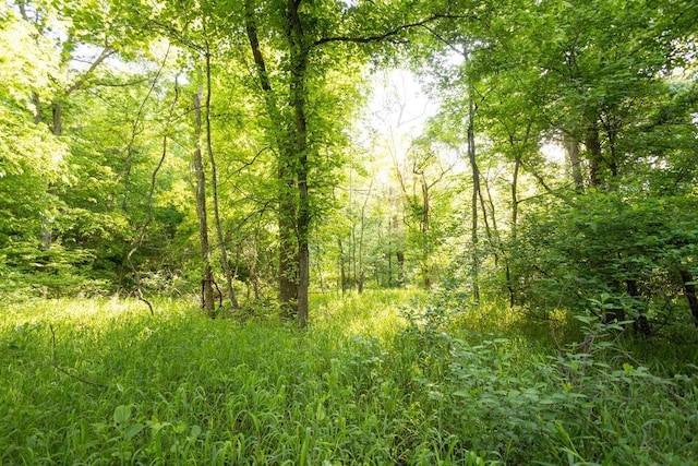 18933 S 2700th Rd, El Dorado Springs, MO 64744 - photo 29