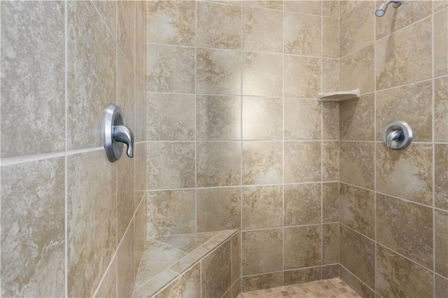 4704 SW Gull Point Dr, Lees Summit, MO 64082 - bathroom with a tile shower