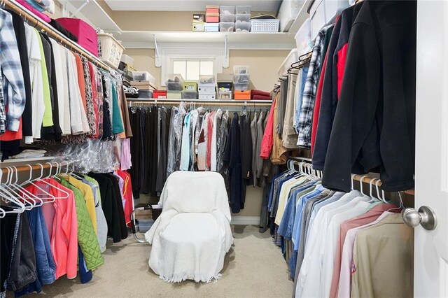 4704 SW Gull Point Dr, Lees Summit, MO 64082 - spacious closet featuring carpet floors