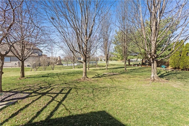 4704 SW Gull Point Dr, Lees Summit, MO 64082 - view of green lawn
