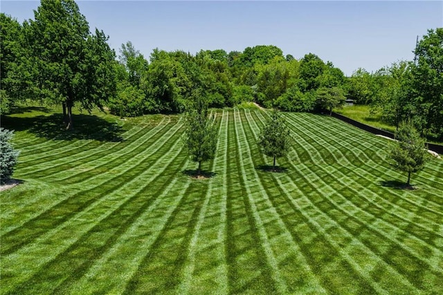 9500 Georgia Ave, Kansas City, KS 66109 - view of yard