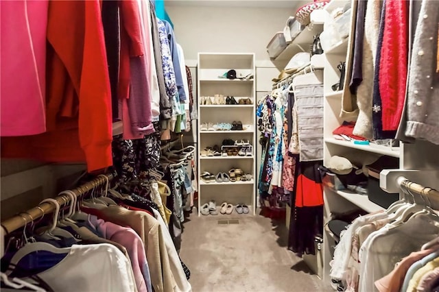 view of walk in closet