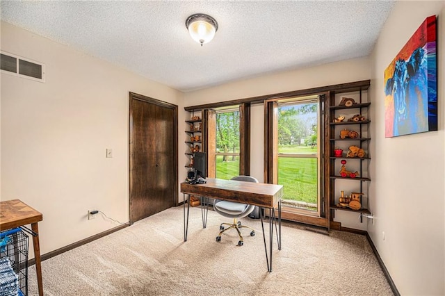 2018 Park Ln, Smithville, MO 64089 - office with a textured ceiling, light colored carpet, and baseboards