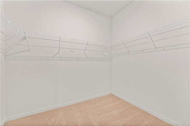 2114 Creek View Ln, Raymore, MO 64083 - spacious closet with light colored carpet