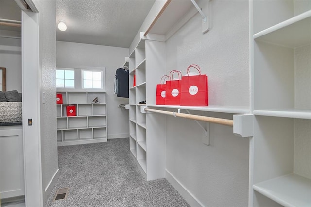5854 Mccormick Dr, Shawnee, KS 66226 - spacious closet featuring carpet floors