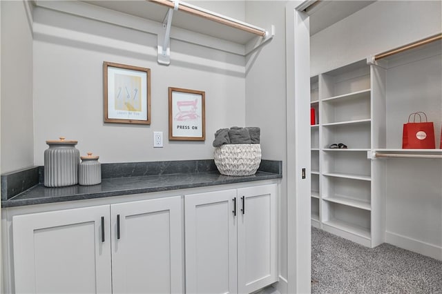 5854 Mccormick Dr, Shawnee, KS 66226 - walk in closet featuring carpet floors