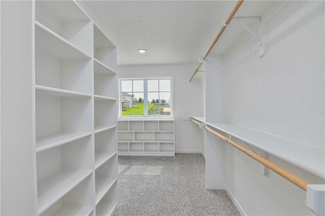 111 N Singletree St, Olathe, KS 66061 - spacious closet featuring carpet flooring