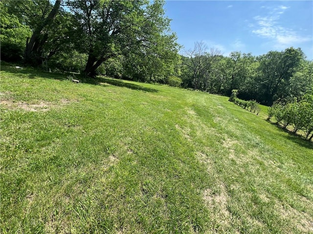 view of grassy yard