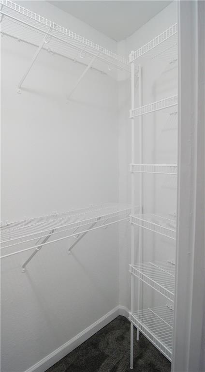 1919 Seneca St, Leavenworth, KS 66048 - walk in closet featuring carpet floors