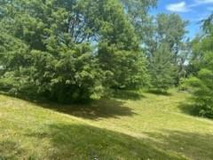 1131 Bill Johnson Rd, Independence, MO 64056 - photo 30