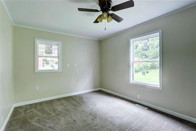 608 Laurel St, Warrensburg, MO 64093 - photo 12