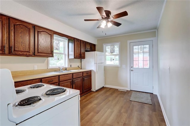 608 Laurel St, Warrensburg, MO 64093 - photo 15