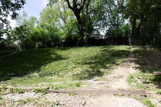 108 N Evanston Ave, Independence, MO 64053 - view of yard