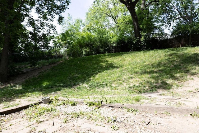 108 N Evanston Ave, Independence, MO 64053 - view of yard