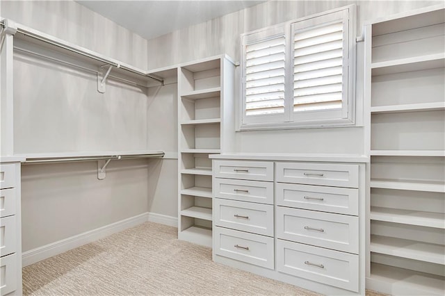 11349 Buena Vista St, Leawood, KS 66211 - spacious closet with light carpet