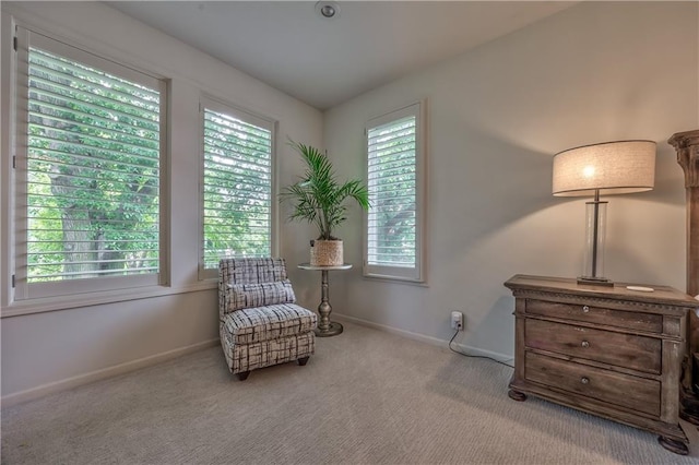 14814 Sherwood St, Leawood, KS 66224 - living area with carpet and baseboards