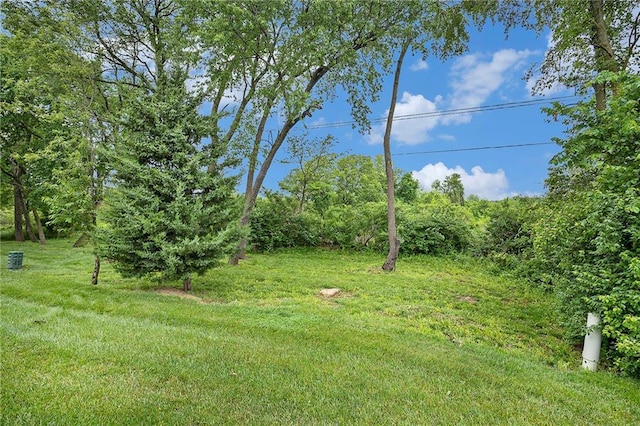 7812 NW 124th St, Kansas City, MO 64163 - view of green lawn