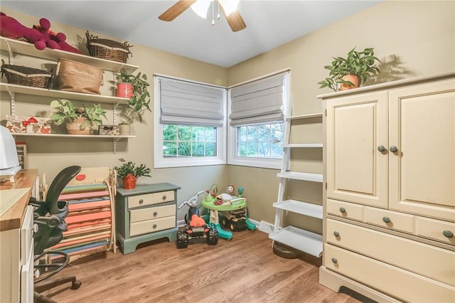 20440 147th St, Basehor, KS 66007 - home office with a ceiling fan and light wood finished floors