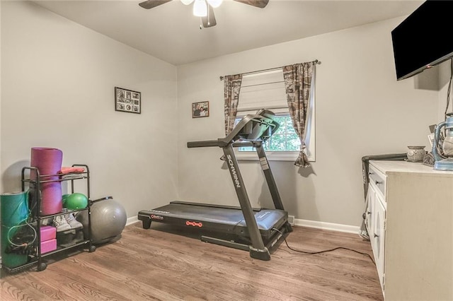 20440 147th St, Basehor, KS 66007 - exercise area featuring wood finished floors, a ceiling fan, and baseboards