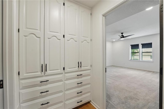 5263 SW Raintree Pkwy, Lees Summit, MO 64082 - view of closet