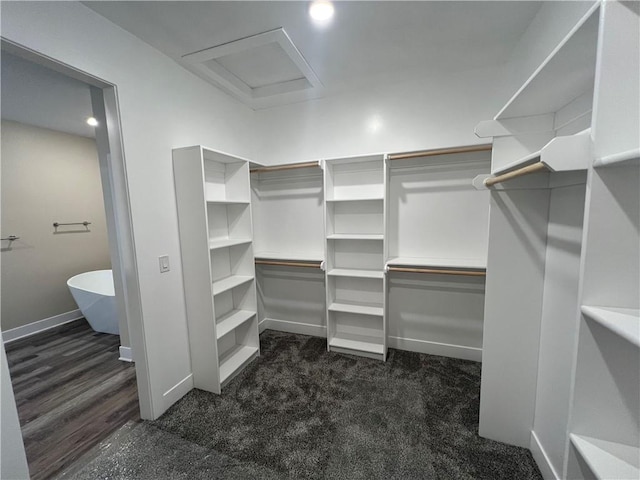 2320 NE 72nd St, Kansas City, MO 64118 - spacious closet with attic access and dark carpet