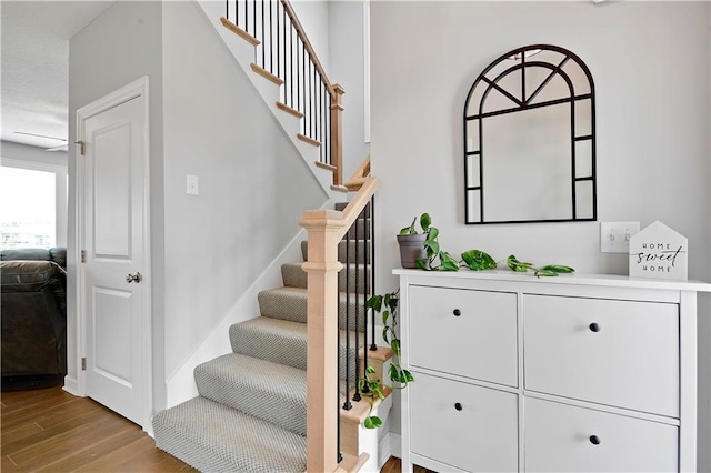 19629 W 196th St, Spring Hill, KS 66083 - stairway featuring wood finished floors